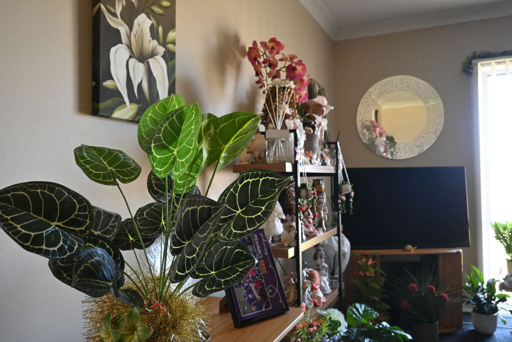 Dianne's Room Mt Warrigal